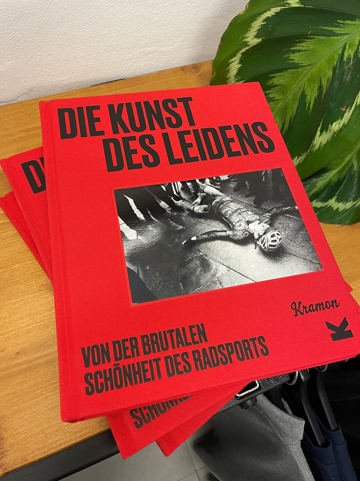 Die Kunst des Leidens - SIGNED German Edition (DEU)