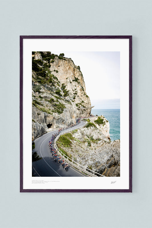 Ligurian Sea Peloton