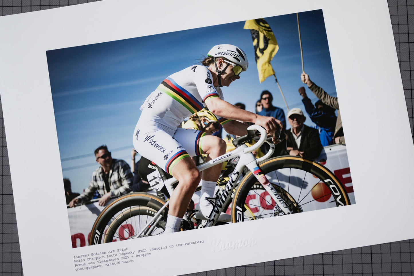 Lotte van Vlaanderen!