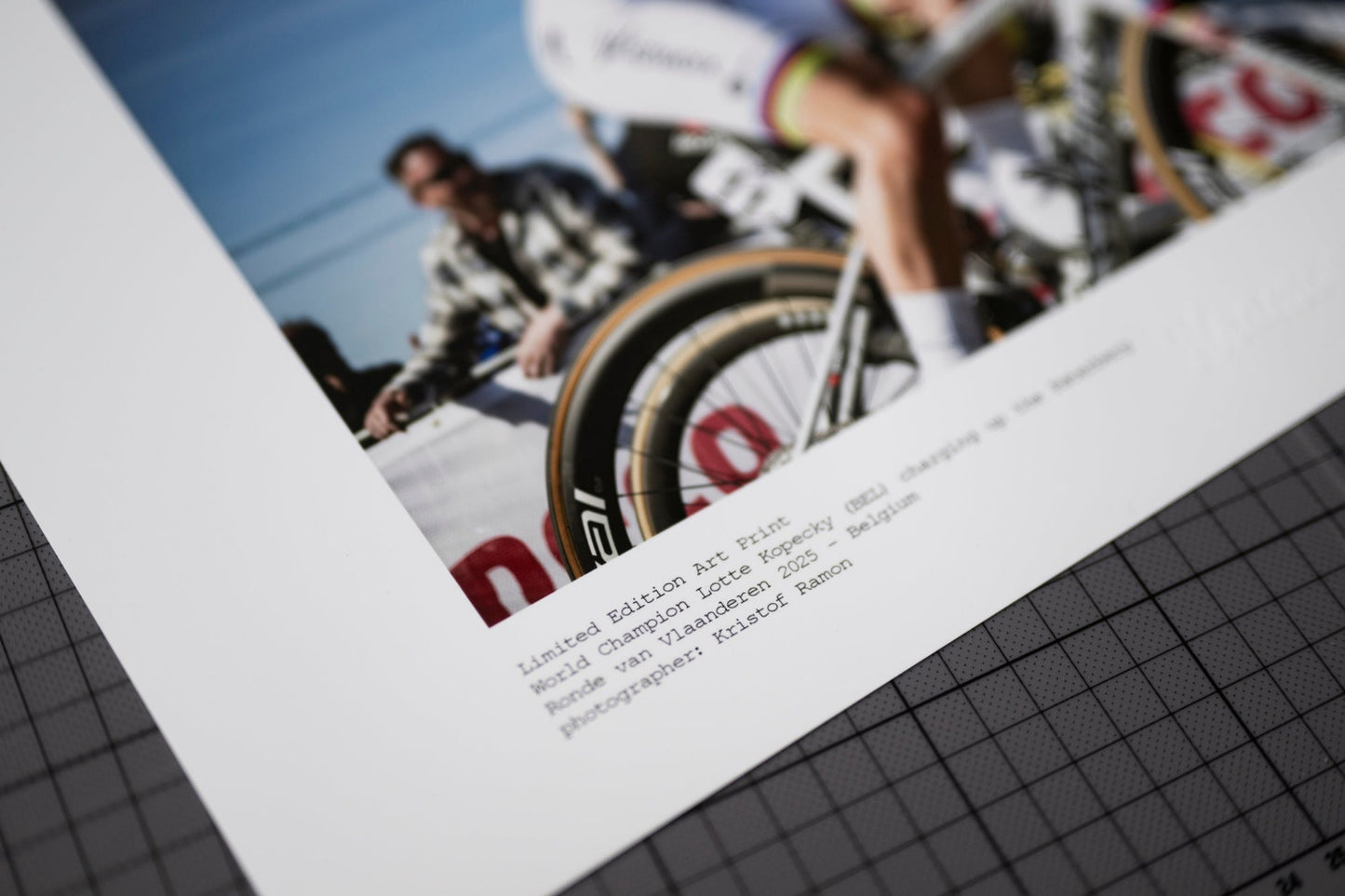 Lotte van Vlaanderen!