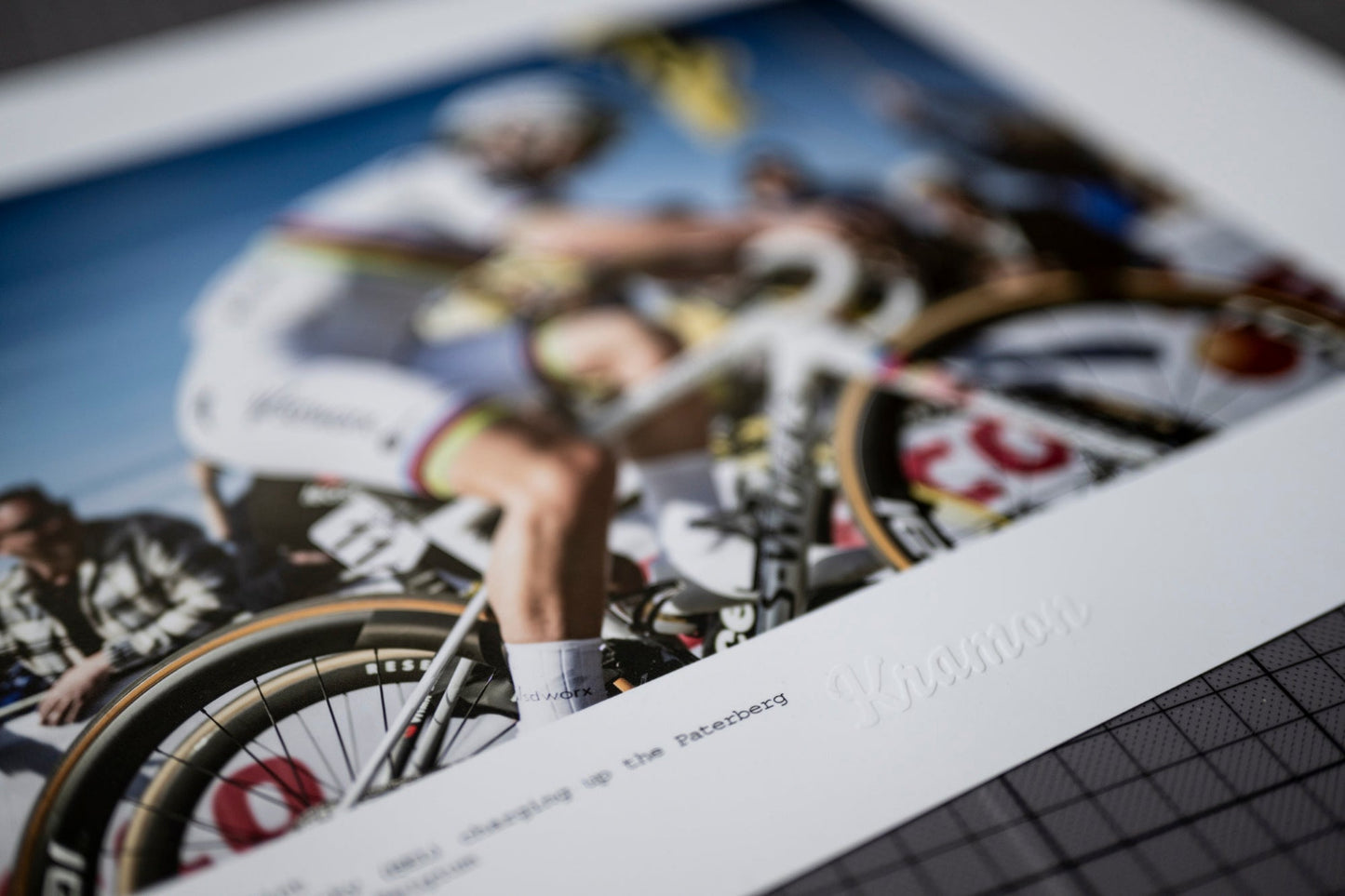 Lotte van Vlaanderen!